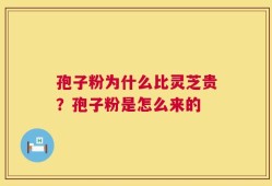 孢子粉为什么比灵芝贵？孢子粉是怎么来的
