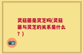灵菇菌是灵芝吗(灵菇菌与灵芝的关系是什么？)