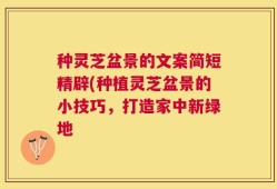 种灵芝盆景的文案简短精辟(种植灵芝盆景的小技巧，打造家中新绿地