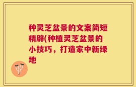 种灵芝盆景的文案简短精辟(种植灵芝盆景的小技巧，打造家中新绿地