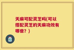 天麻可配灵芝吗(可以搭配灵芝的天麻功效有哪些？)