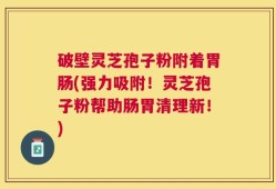 破壁灵芝孢子粉附着胃肠(强力吸附！灵芝孢子粉帮助肠胃清理新！)