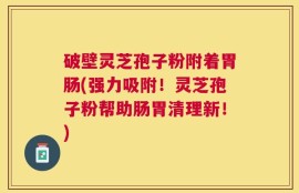 破壁灵芝孢子粉附着胃肠(强力吸附！灵芝孢子粉帮助肠胃清理新！)