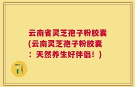 云南省灵芝孢子粉胶囊(云南灵芝孢子粉胶囊：天然养生好伴侣！)
