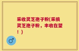 采收灵芝孢子粉(采摘灵芝孢子粉，丰收在望！)
