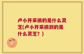 卢小开采摘的是什么灵芝(卢小开采摘到的是什么灵芝？)