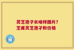 灵芝孢子长啥样图片？芝甫灵芝孢孑粉价格
