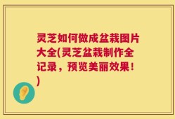 灵芝如何做成盆栽图片大全(灵芝盆栽制作全记录，预览美丽效果！)