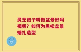 灵芝孢子粉做盆景好吗视频？如何为黑松盆景蟠扎造型
