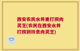 西安农民水井里打捞肉灵芝(农民在西安水井打捞到珍贵肉灵芝)