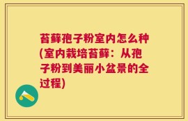 苔藓孢子粉室内怎么种(室内栽培苔藓：从孢子粉到美丽小盆景的全过程)