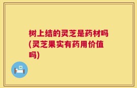 树上结的灵芝是药材吗(灵芝果实有药用价值吗)