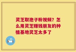 灵芝取孢子粉视频？怎么用灵芝赚钱朋友的种植基地灵芝太多了