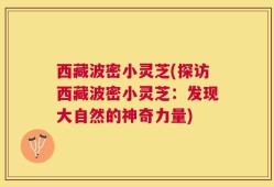 西藏波密小灵芝(探访西藏波密小灵芝：发现大自然的神奇力量)