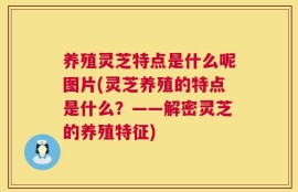 养殖灵芝特点是什么呢图片(灵芝养殖的特点是什么？——解密灵芝的养殖特征)