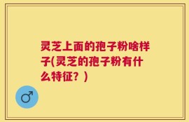 灵芝上面的孢子粉啥样子(灵芝的孢子粉有什么特征？)