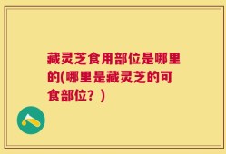 藏灵芝食用部位是哪里的(哪里是藏灵芝的可食部位？)
