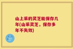 山上采的灵芝能保存几年(山采灵芝，保存多年不失效)
