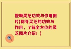 整颗灵芝功效与作用图片(探寻灵芝的功效与作用，了解全方位的灵芝图片介绍！)