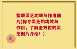 整颗灵芝功效与作用图片(探寻灵芝的功效与作用，了解全方位的灵芝图片介绍！)