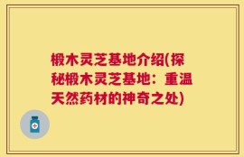 椴木灵芝基地介绍(探秘椴木灵芝基地：重温天然药材的神奇之处)