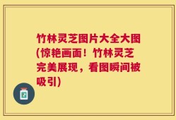 竹林灵芝图片大全大图(惊艳画面！竹林灵芝完美展现，看图瞬间被吸引)