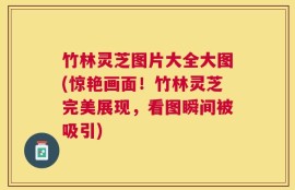 竹林灵芝图片大全大图(惊艳画面！竹林灵芝完美展现，看图瞬间被吸引)