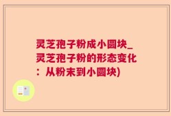 灵芝孢子粉成小圆块_灵芝孢子粉的形态变化：从粉末到小圆块)