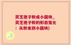 灵芝孢子粉成小圆块_灵芝孢子粉的形态变化：从粉末到小圆块)