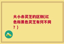 大小赤灵芝的区别(红色和黑色灵芝有何不同？)