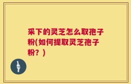 采下的灵芝怎么取孢子粉(如何提取灵芝孢子粉？)