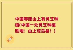 中国哪座山上有灵芝种植(中国一处灵芝种植胜地：山上琼岛县！)