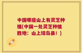 中国哪座山上有灵芝种植(中国一处灵芝种植胜地：山上琼岛县！)