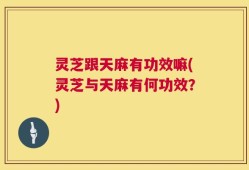 灵芝跟天麻有功效嘛(灵芝与天麻有何功效？)