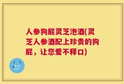 人参狗屁灵芝泡酒(灵芝人参酒配上珍贵的狗屁，让您爱不释口)