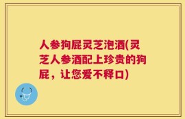 人参狗屁灵芝泡酒(灵芝人参酒配上珍贵的狗屁，让您爱不释口)