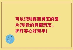 可以识别真菌灵芝的图片(珍贵的真菌灵芝，护肝养心好帮手)