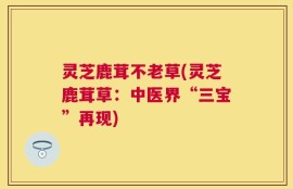 灵芝鹿茸不老草(灵芝鹿茸草：中医界“三宝”再现)