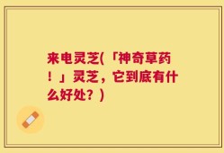 来电灵芝(「神奇草药！」灵芝，它到底有什么好处？)