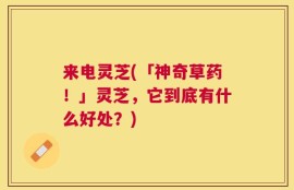 来电灵芝(「神奇草药！」灵芝，它到底有什么好处？)