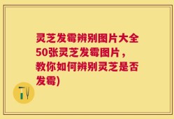 灵芝发霉辨别图片大全50张灵芝发霉图片，教你如何辨别灵芝是否发霉)