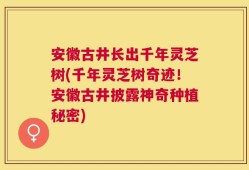 安徽古井长出千年灵芝树(千年灵芝树奇迹！安徽古井披露神奇种植秘密)