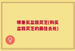 哪里买盆栽灵芝(购买盆栽灵芝的最佳去处)