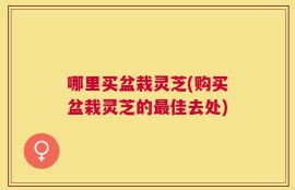 哪里买盆栽灵芝(购买盆栽灵芝的最佳去处)