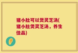 猪小肚可以煲灵芝汤(猪小肚煲灵芝汤，养生佳品)
