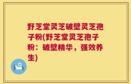 野芝堂灵芝破壁灵芝孢子粉(野芝堂灵芝孢子粉：破壁精华，强效养生)