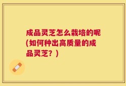 成品灵芝怎么栽培的呢(如何种出高质量的成品灵芝？)