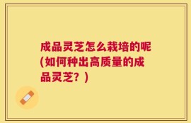 成品灵芝怎么栽培的呢(如何种出高质量的成品灵芝？)