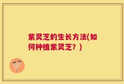 紫灵芝的生长方法(如何种植紫灵芝？)