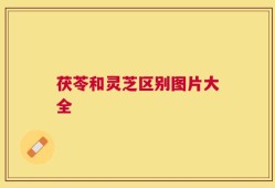 茯苓和灵芝区别图片大全